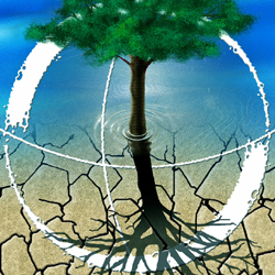la vita di un albero rappresentata con e senza acqua